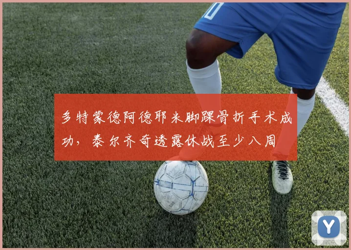 多特蒙德阿德耶米脚踝骨折手术成功,泰尔齐奇透露休战至少八周