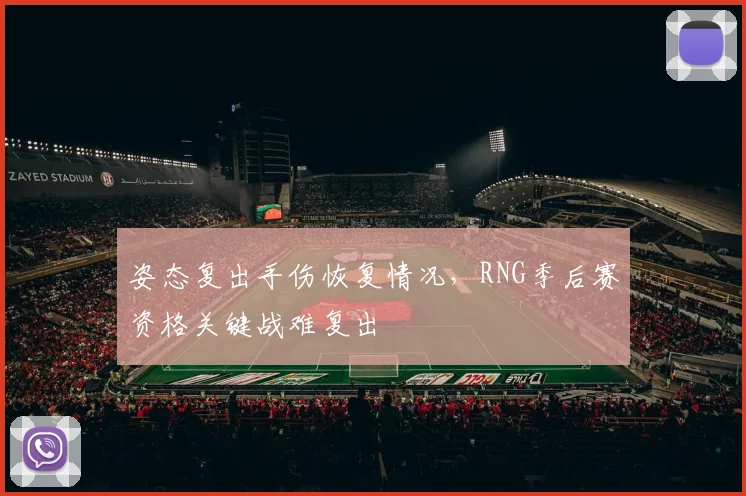 姿态复出手伤恢复情况,RNG季后赛资格关键战难复出